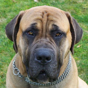 Meet your Posher, Sari